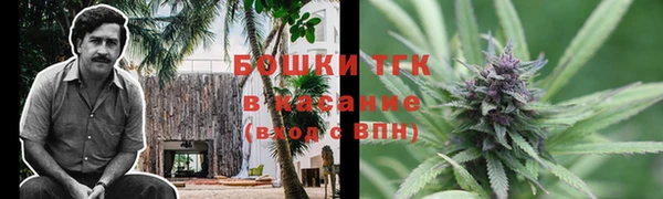 крисы Туринск