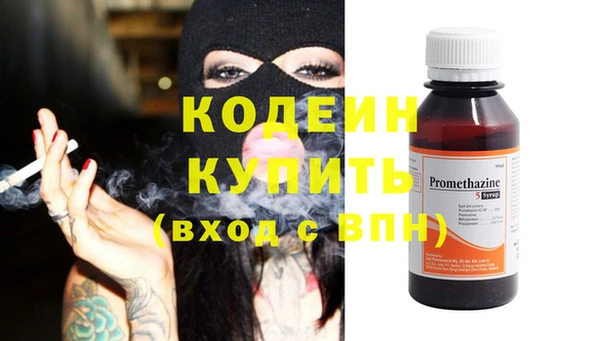 шишки Тутаев