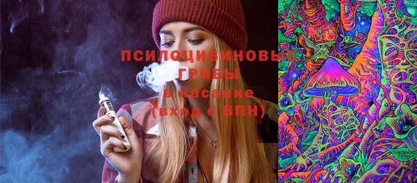 шишки Тутаев