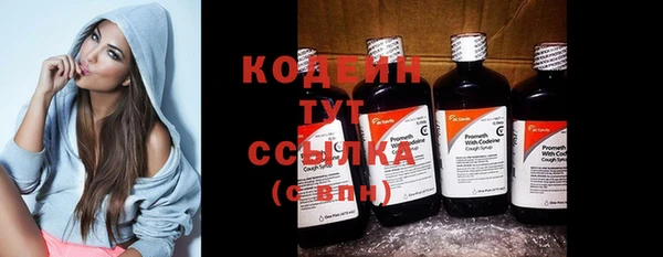 крисы Туринск