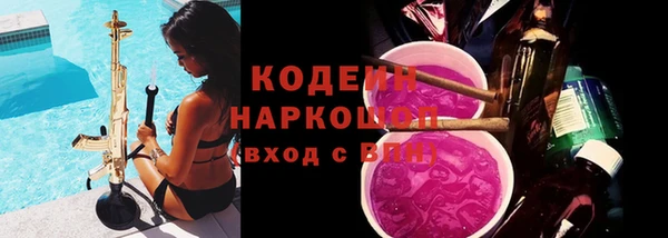 шишки Тутаев