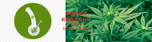 шишки Тутаев