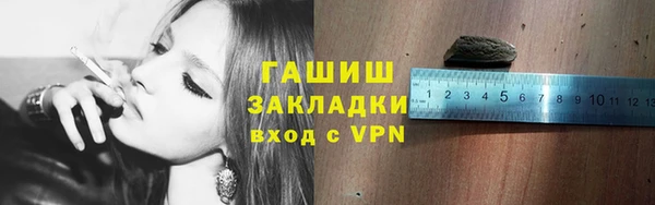 шишки Тутаев