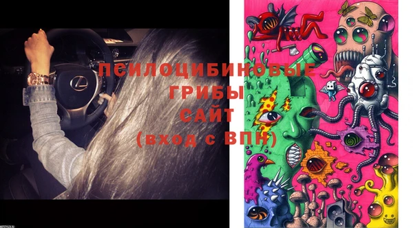 стафф Конаково