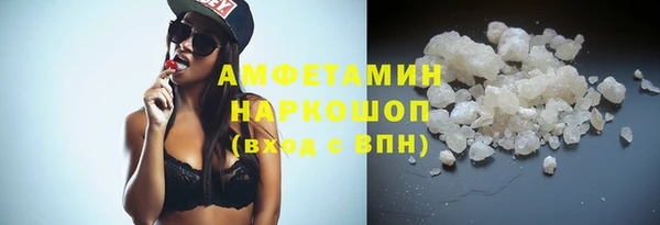 шишки Тутаев