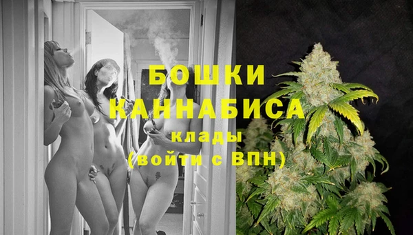 крисы Туринск