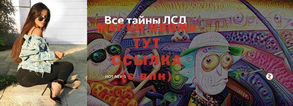 крисы Туринск