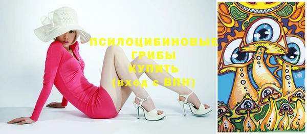 крисы Туринск
