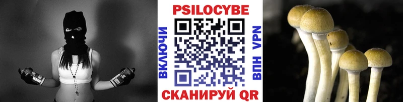 KRAKEN как войти  продажа наркотиков  Чухлома  Галлюциногенные грибы прущие грибы 